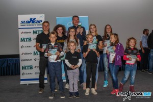 Skupna energija