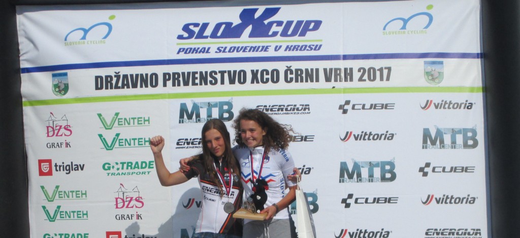 naslovica